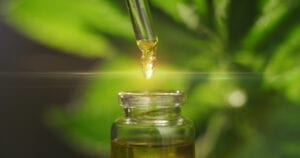 Cbd Oil Seller Guide For Selling Cbd Oil Online Or In Store