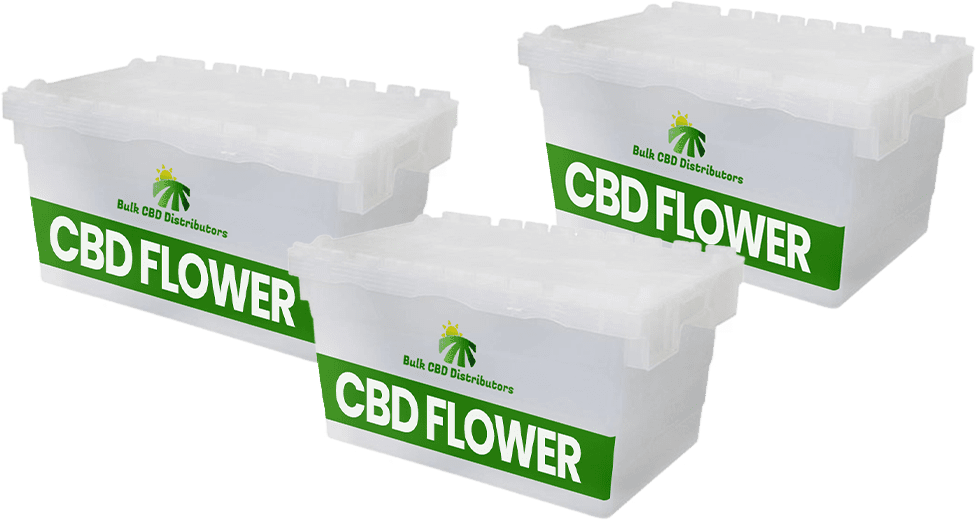 CBD Flower