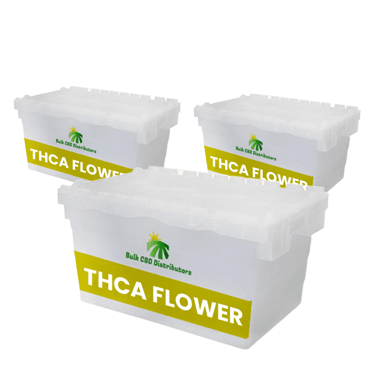 Bulk THCA Flower At Wholesale Prices