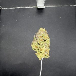 Gelato 33 Light Assist THCA Flower