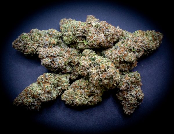 Bulk Magic Night Light Assist Thca Flower