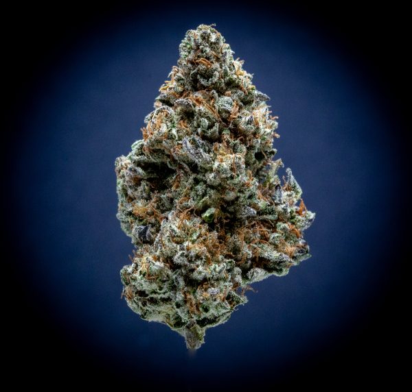 Magic Night Light Assist Thca Flower