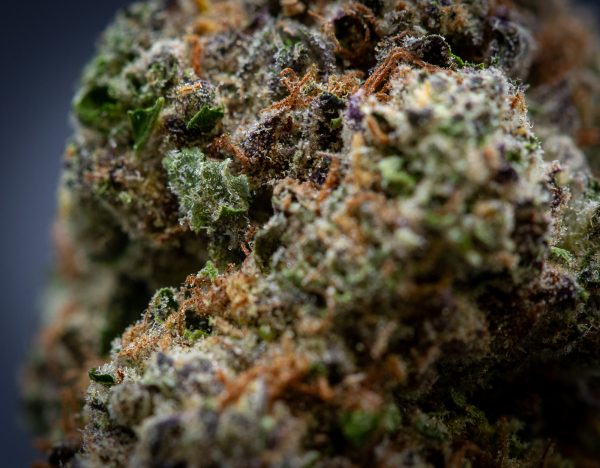 Modified Grapes Indoor Thca Flower