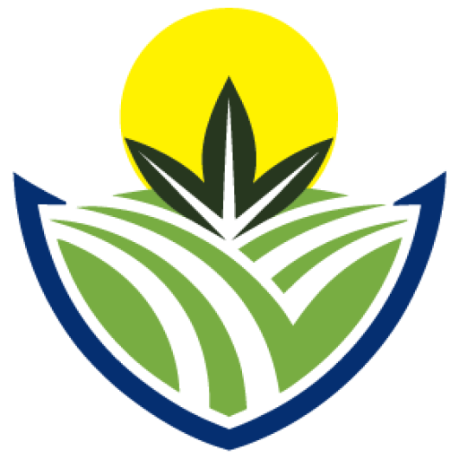 Bulk CBD Wholesale Distributors