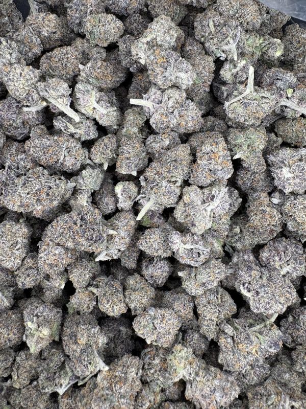 Black Runtz Indoor Thca Flower
