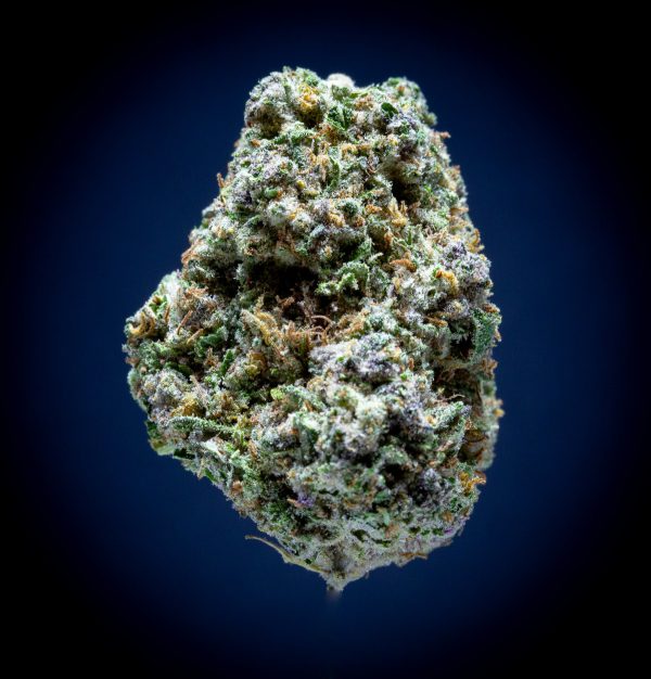 Blueberry Muffin Light Assist THCA Flower