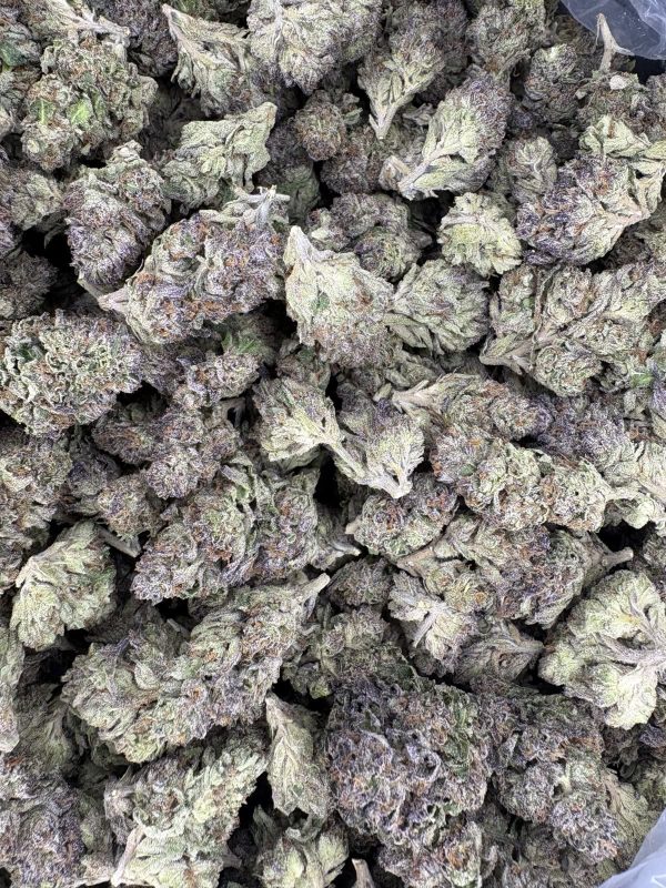 Bulk Biscotti Cream Indoor THCA Flower