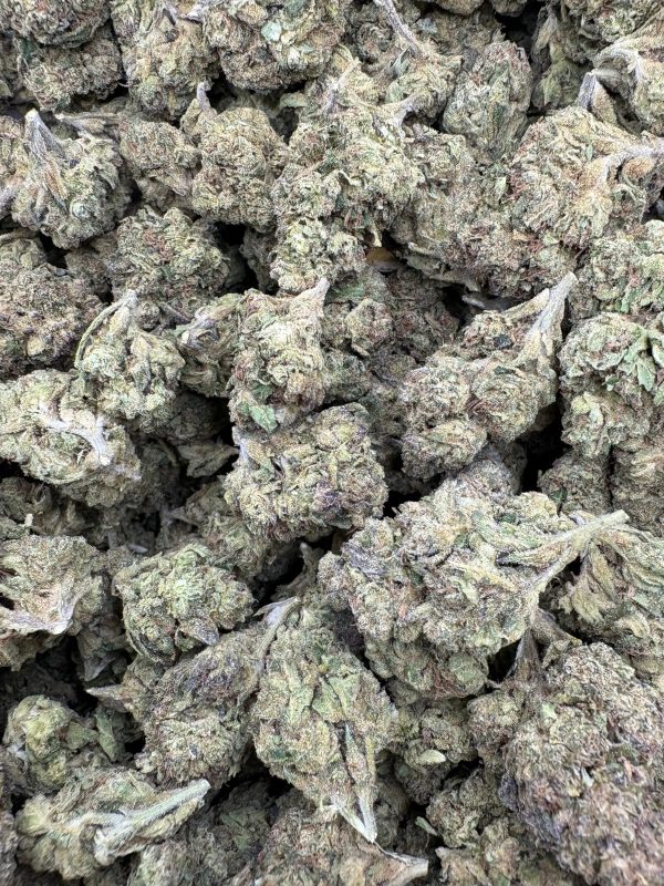 Bulk Blueberry Space Cake Exotic THCA Flower
