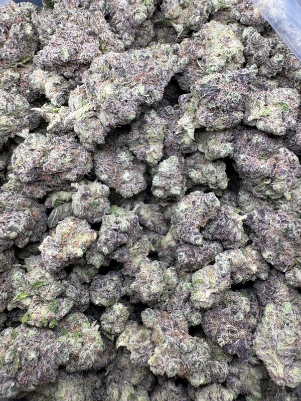 Bulk Butter Slut Indoor THCA Flower