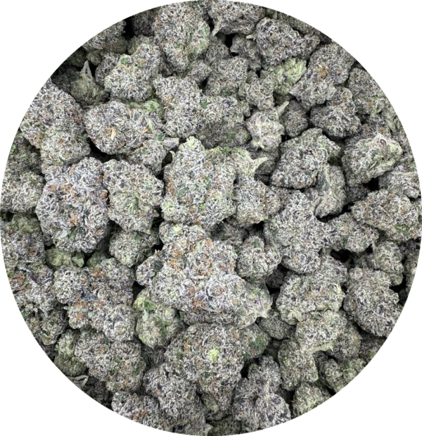 Bulk Cookie Runtz Exotic THCA Flower