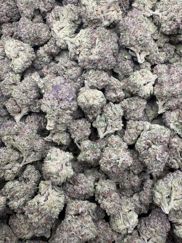 Bulk Ice Cream Cake Indoor THCA Flower