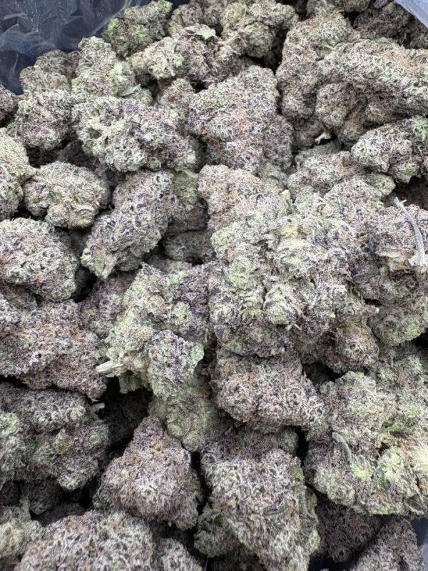 Bulk King Louis Exotic THCA Flower