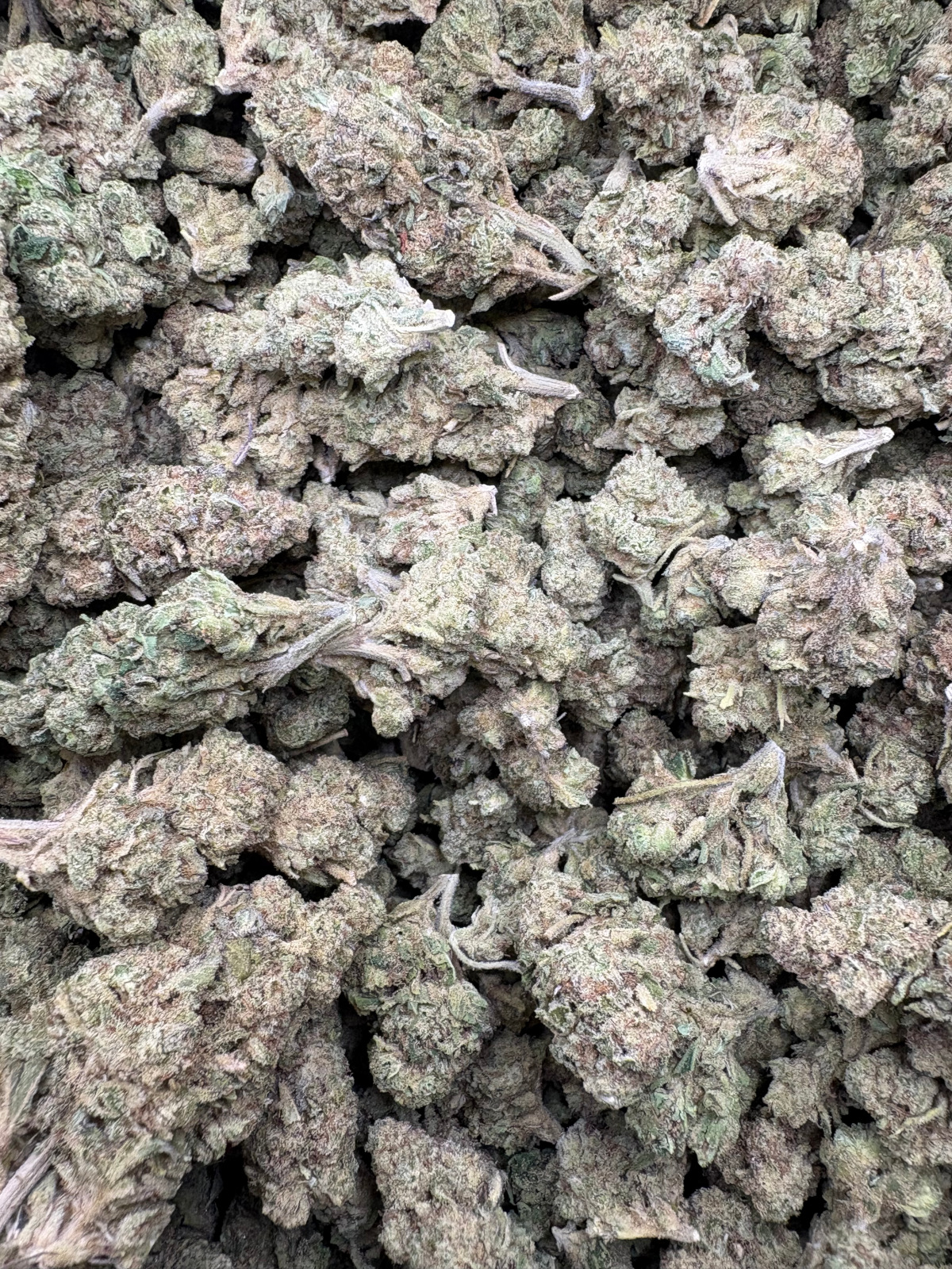 Lemon Cherry Gelato Indoor Thca Flower Bulk Lemon Cherry Gelato Indoor Thca Flower