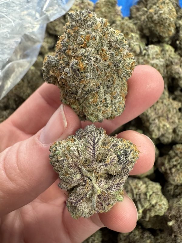 Bulk Mochi Indoor THCA Flower