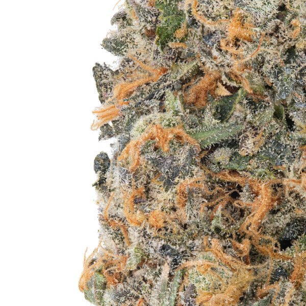 Bulk Modified Gelato Indoor THCA Flower