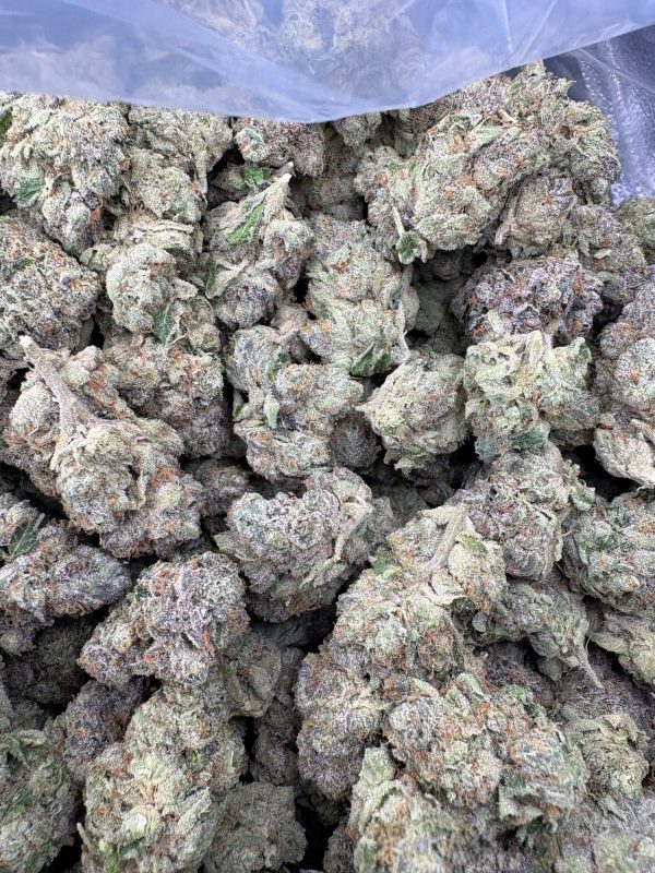 Bulk Royal Runtz Indoor THCA Flower