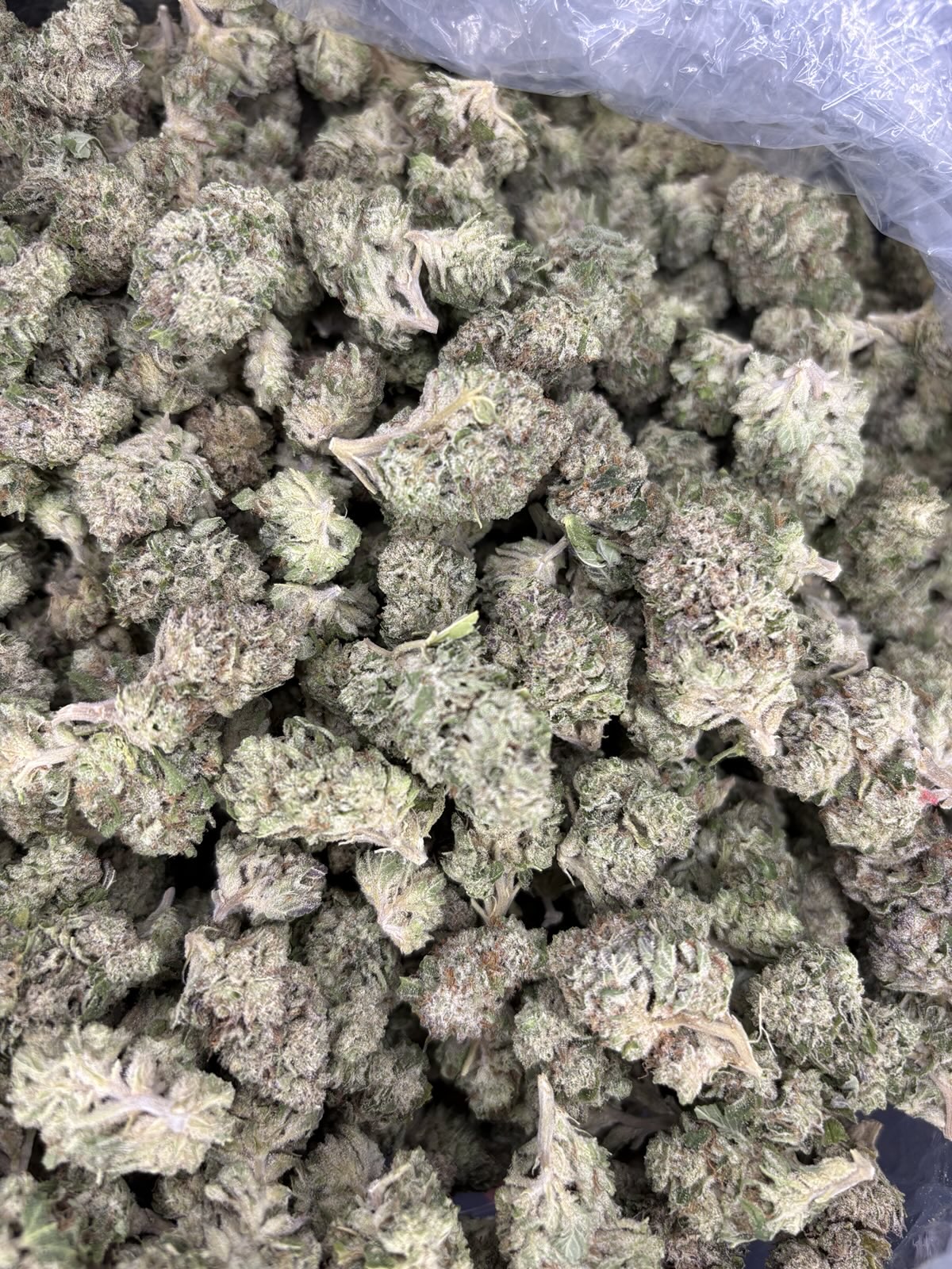 Shaved Ice Light Assist Thca Flower Bulk Shaved Ice Light Assist Thca Flower