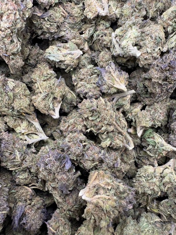 Bulk Sherb Cream Pie Light Assist THCA Flower