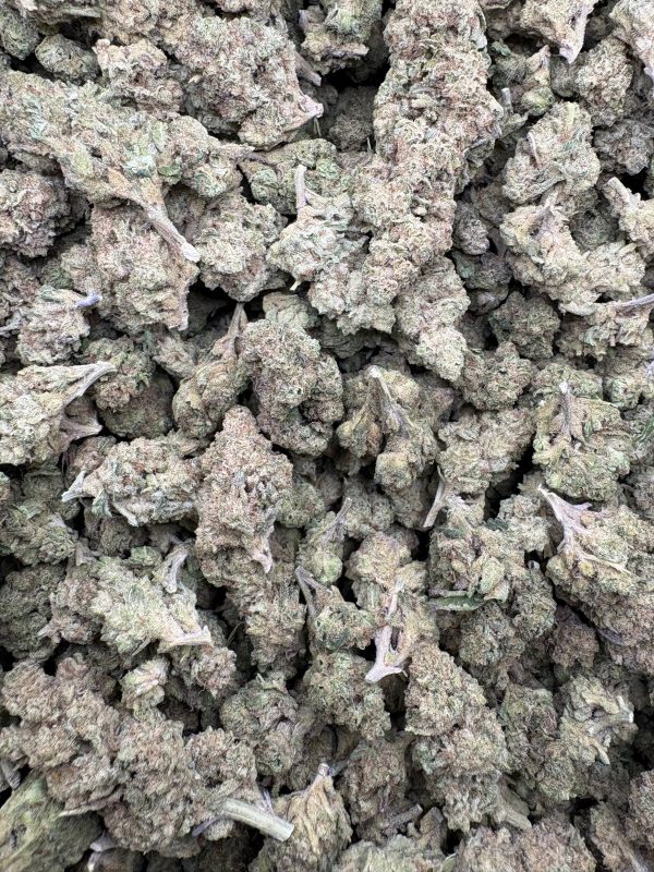 Bulk Spritzer Indoor THCA Flower