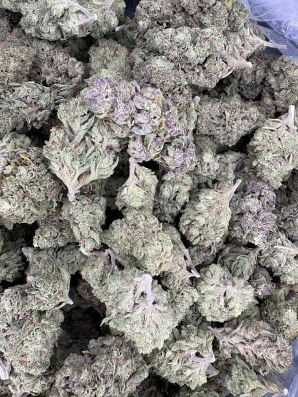 Bulk UK Cheese Light Dep THCA Flower