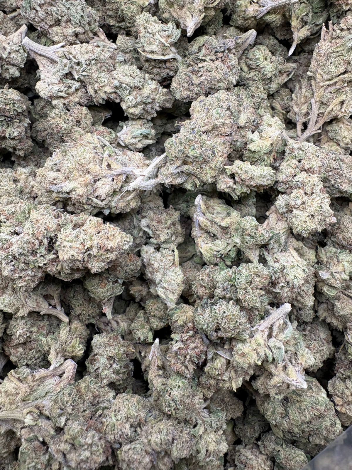 Zoap Light Assist Thca Flower Bulk Zoap Light Assist Thca Flower