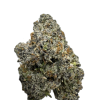 Exotic THCA flower