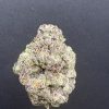 Gary Payton Exotic THCA Flower