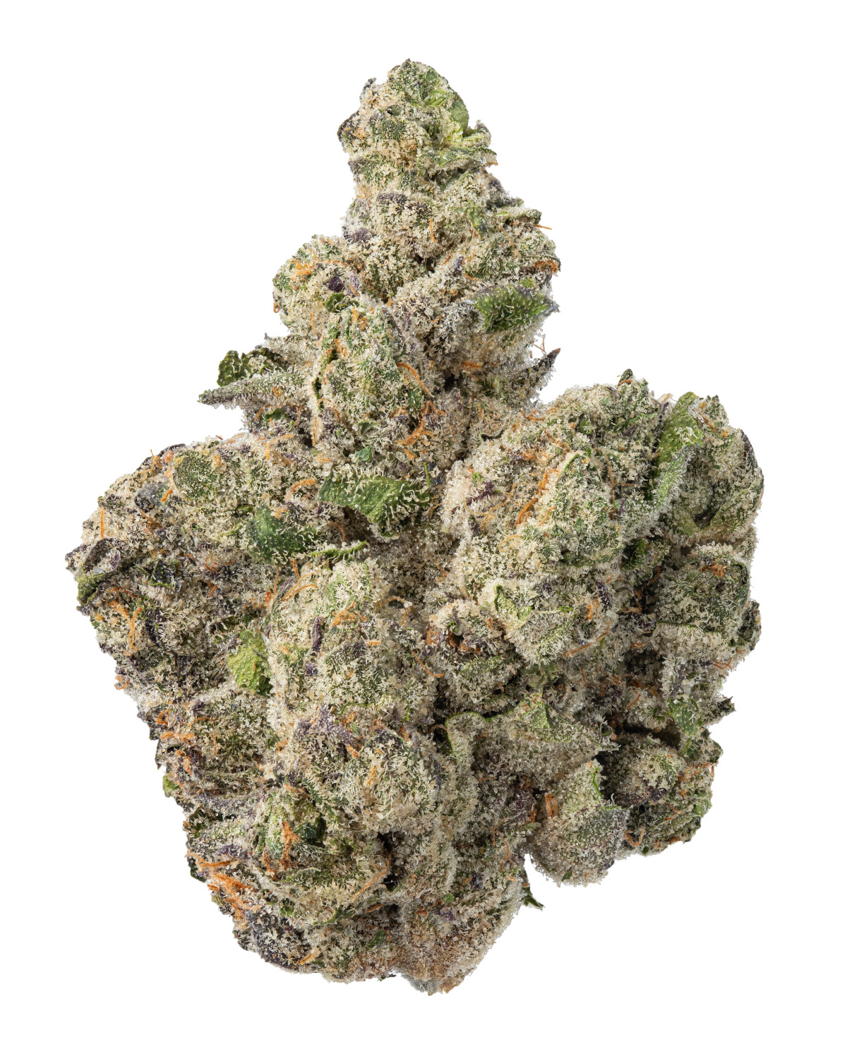 Gary Payton Light Assist Thca Flower Gary Payton Light Assist Thca Flower