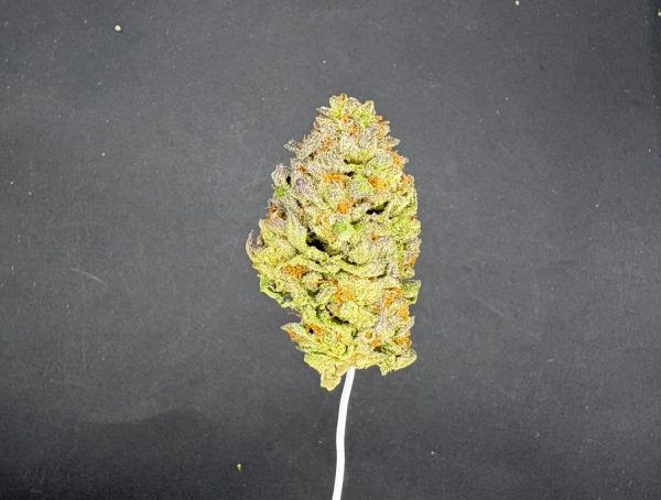 Gelato 33 Light Assist Thca Flower
