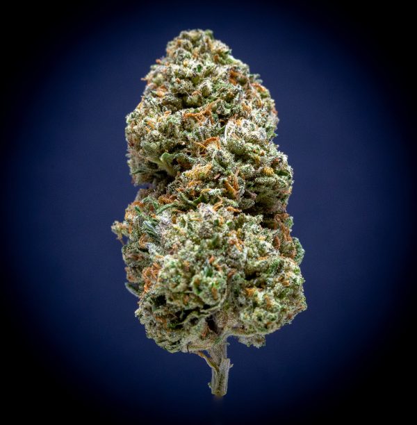 London Pound Cake Light Assist THCA Flower