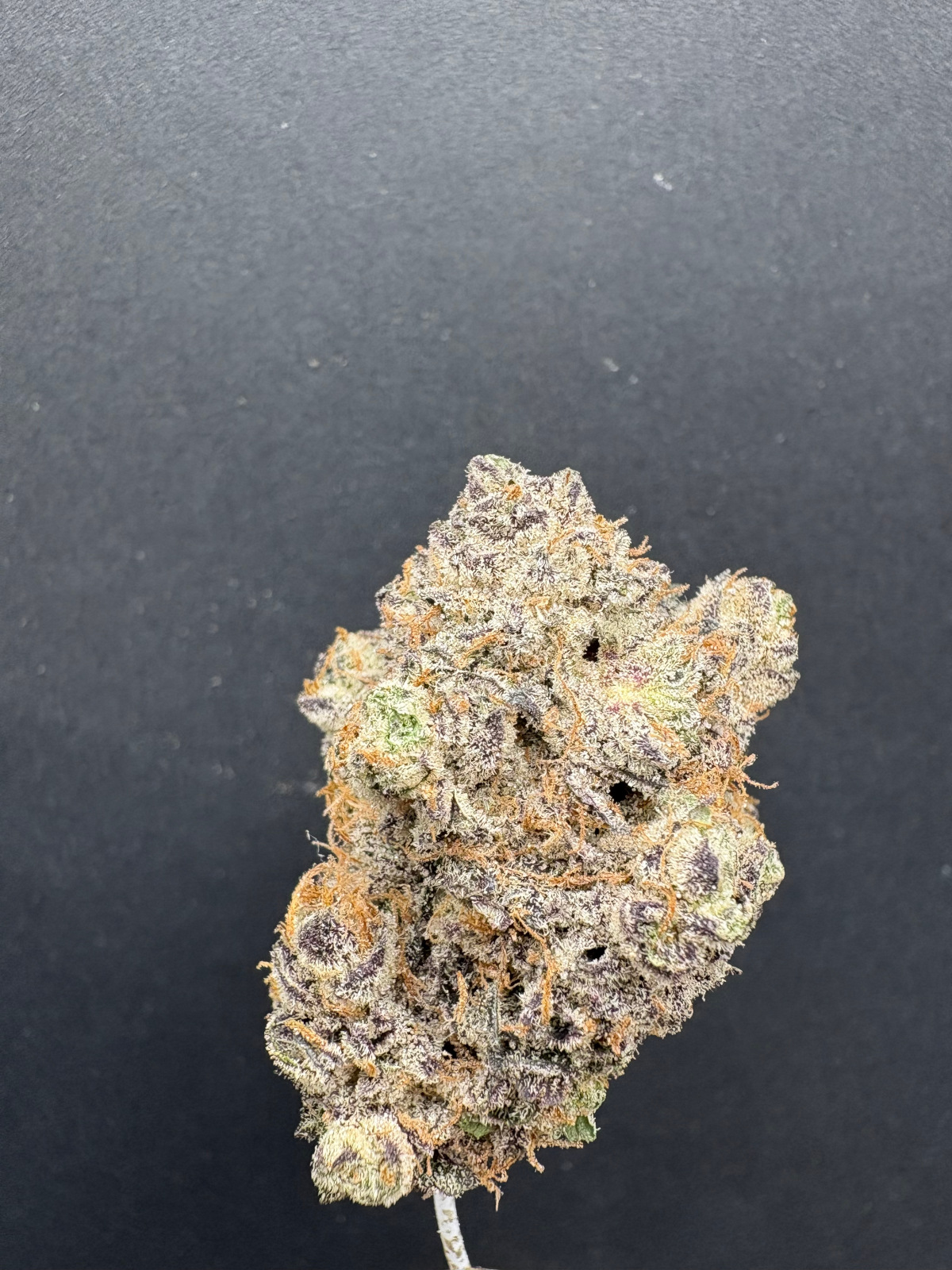 Marathon Burger Indoor Thca Flower Marathon Burger Indoor Thca Flower