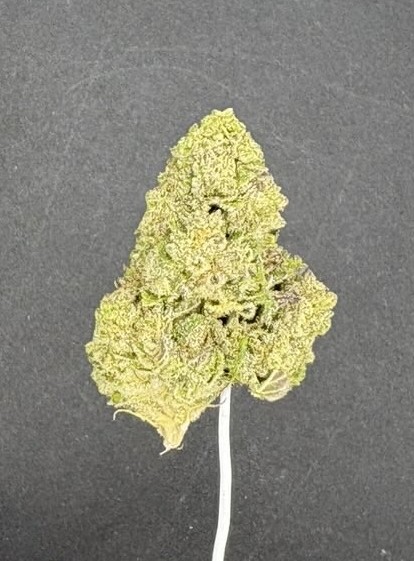 Shaved Ice Light Assist Thca Flower Shaved Ice Light Assist Thca Flower