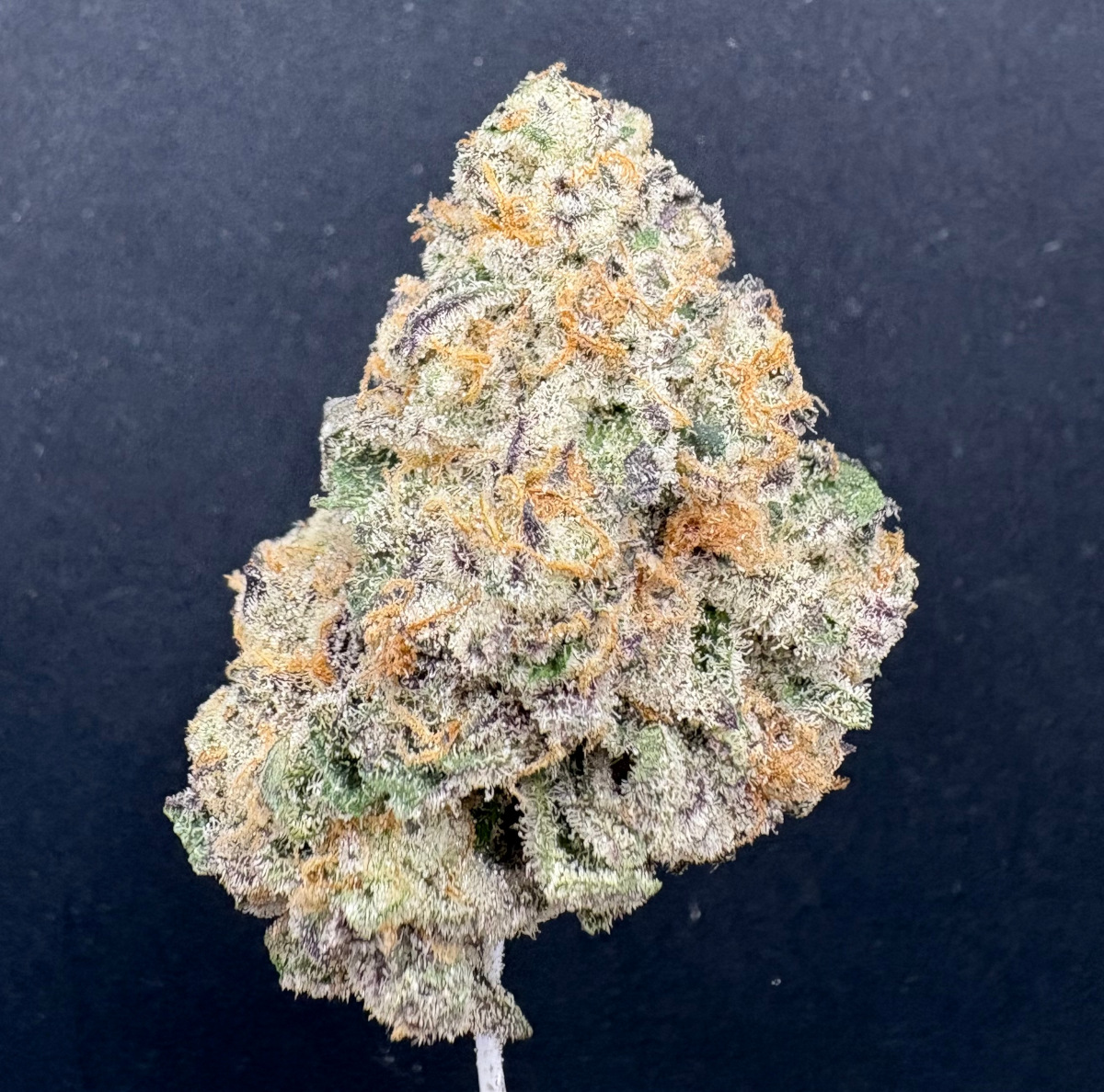 Southern Sugar Indoor Thca Flower Southern Sugar Indoor Thca Flower