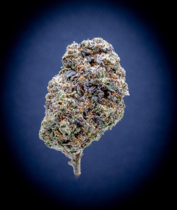 Triple Chocolate Chip Indoor THCA Flower