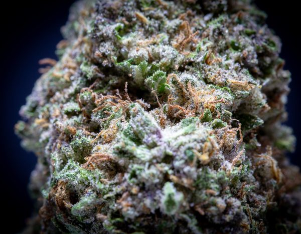 Wholesale Blueberry Muffin Light Assist THCA Flower
