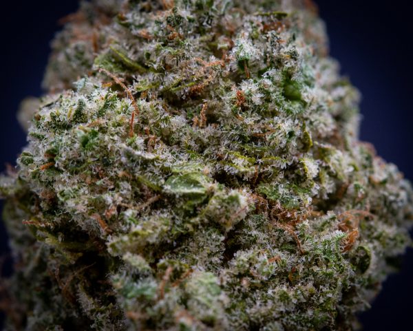 Wholesale Gorilla Glue #4 Exotic THCA Flower