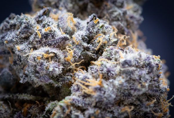 Wholesale Laser Fuel Exotic THCA Flower