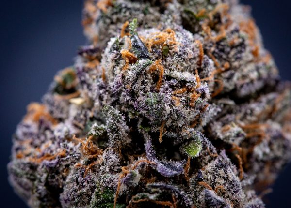 Wholesale Red Velvet Runtz Indoor THCA Flower