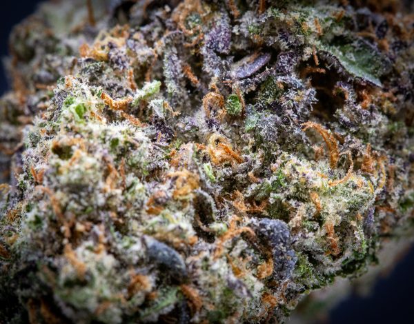 Wholesale Triple Chocolate Chip Indoor THCA Flower