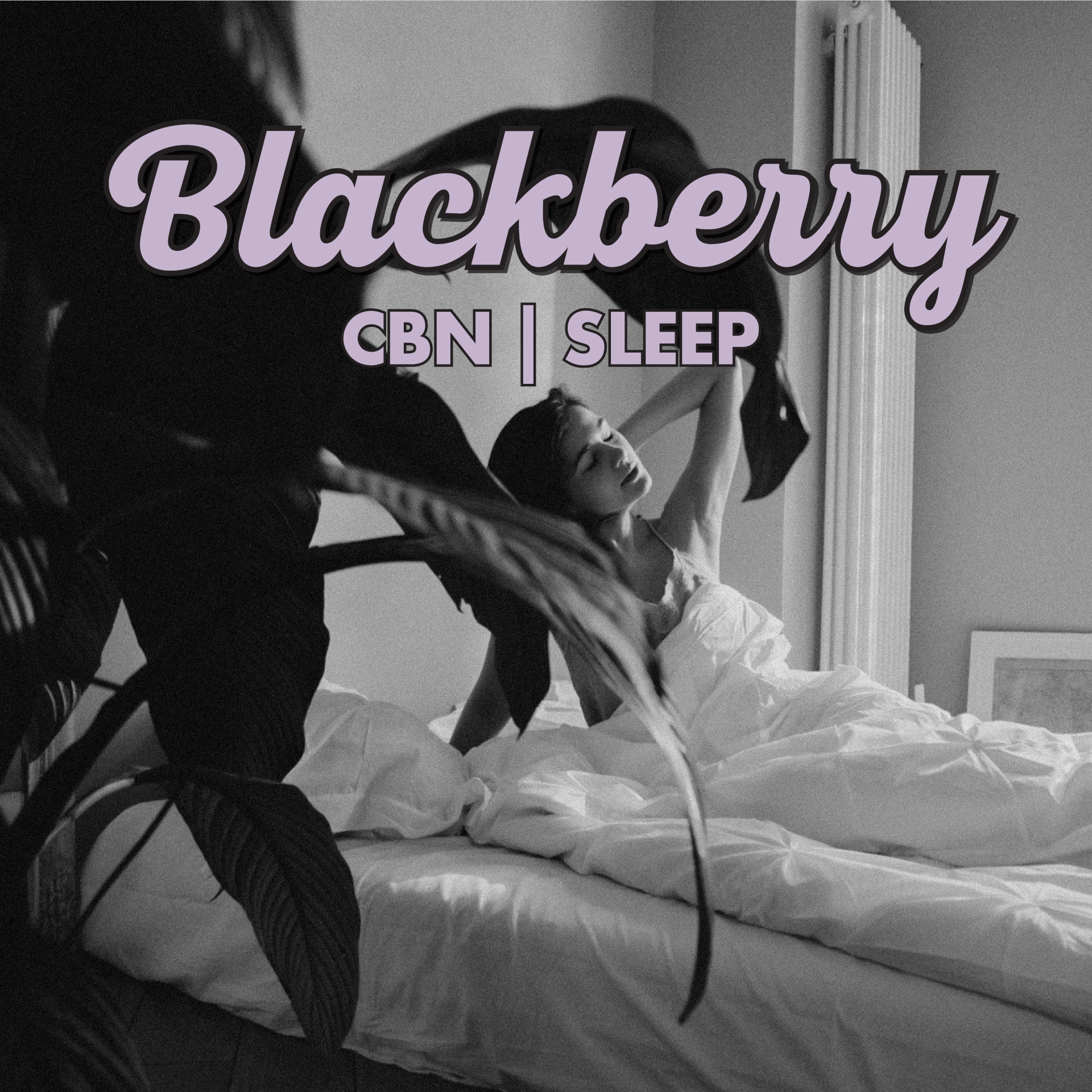 Smokiez Blackberry Cbd:cbn 2.5:1 Gummies Smokiez Blackberry Cbd + Cbn Gummies