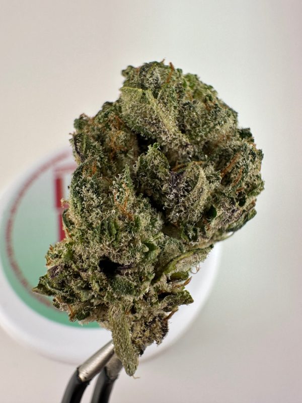 Lost Jane Strawberry Taffy Exotic THCA Flower - 4g - Sativa