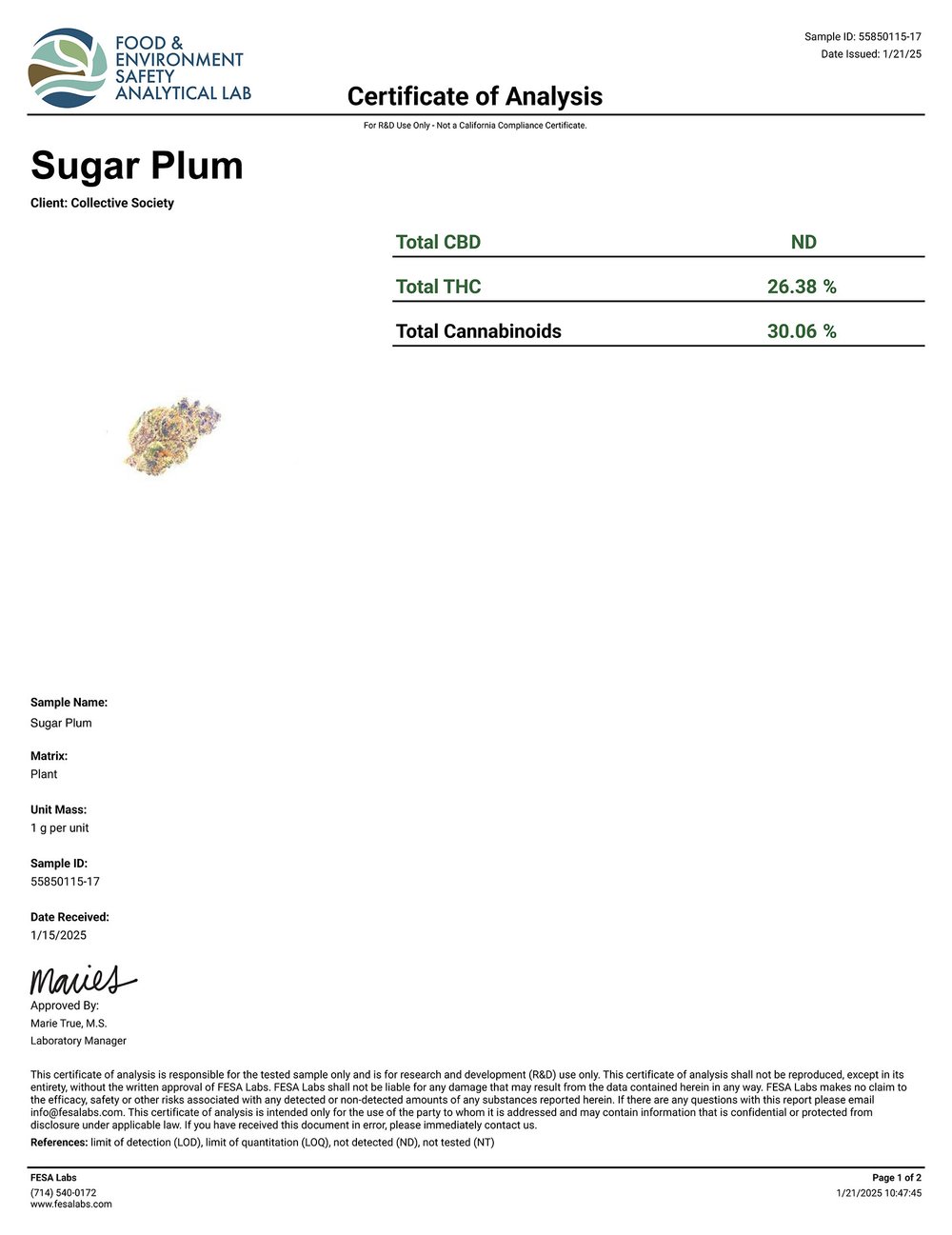 Lost Jane Sugar Plum Runtz Exotic THCA Flower COA 1-21-25
