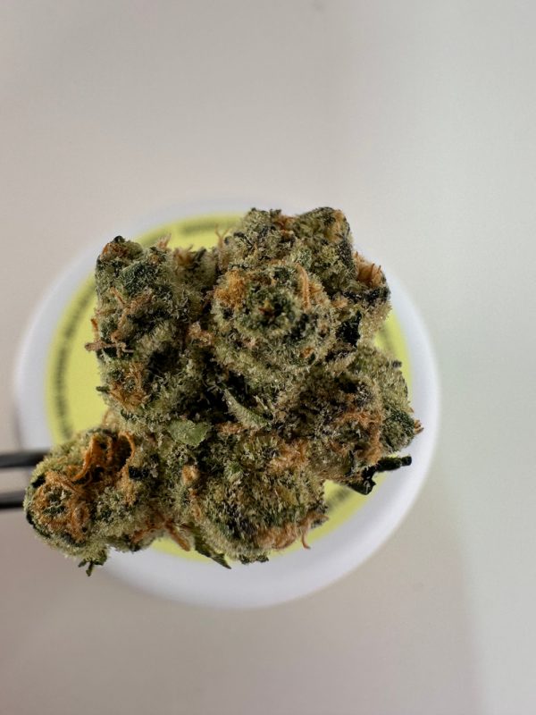 Lost Jane Turbo Lemon Cake Exotic THCA Flower - 4g - Sativa