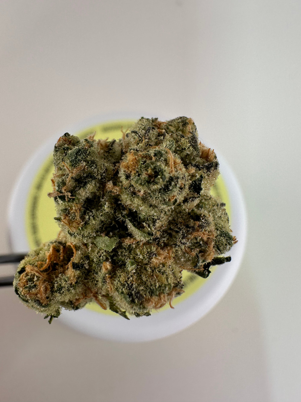 Lost Jane Turbo Lemon Cake Exotic Thca Flower - Sativa Lost Jane Turbo Lemon Cake Exotic Thca Flower - 4G - Sativa