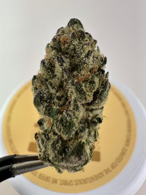 Lost Jane Vanilla Souffle Exotic THCA Flower - 4g - Indica