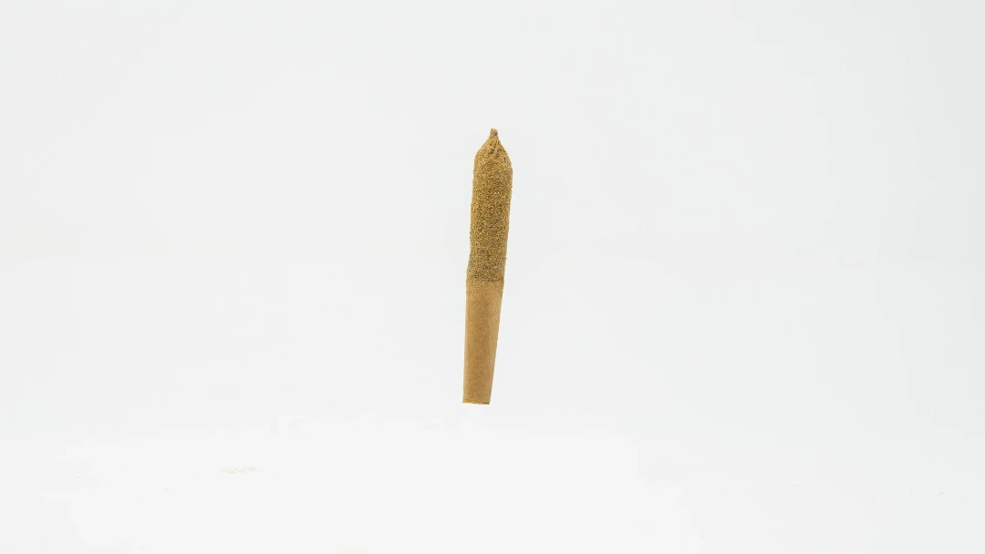 Coast Smokes Thca-Infused 5Ct 0.5G Prerolls Coast Smokes Thca-Infused 5Ct 0.5G Prerolls