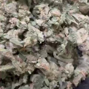 Blockberry Exotic Indoor Trim for bulk wholesale, close-up