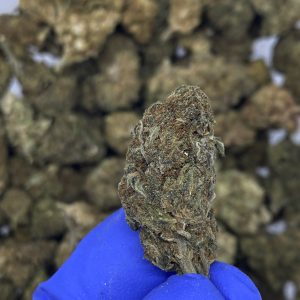 Chemberry CBD hemp flower buds for bulk wholesale, close-up