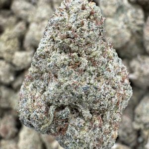 Cherry Gelonade THCP hemp flower buds for bulk wholesale, close-up