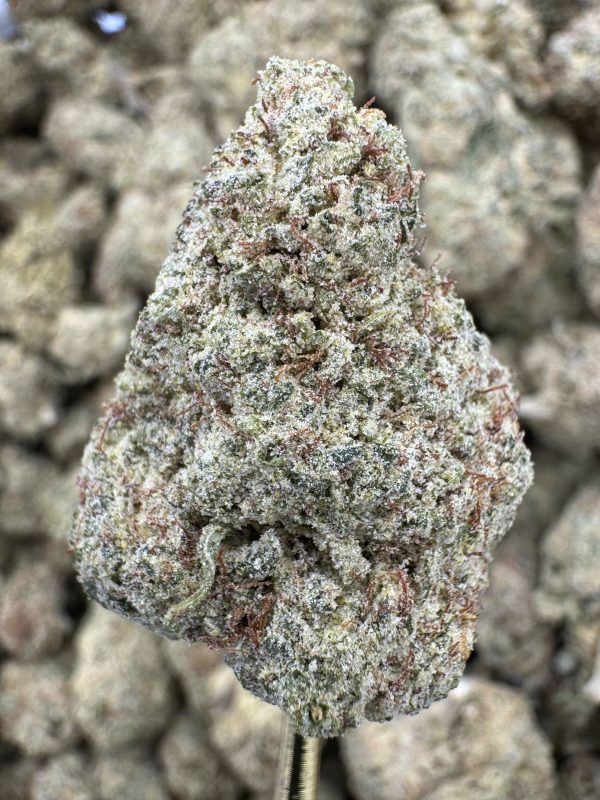 Cherry Gelonade THCP hemp flower buds for bulk wholesale, close-up